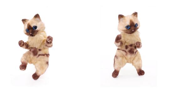 艾露猫怪物猎人,怪物猎人艾露猫真人