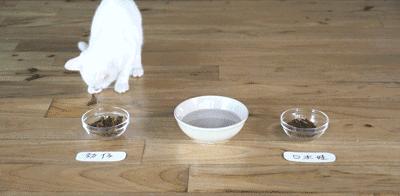 这两个网红，把我搞得又酸又麻