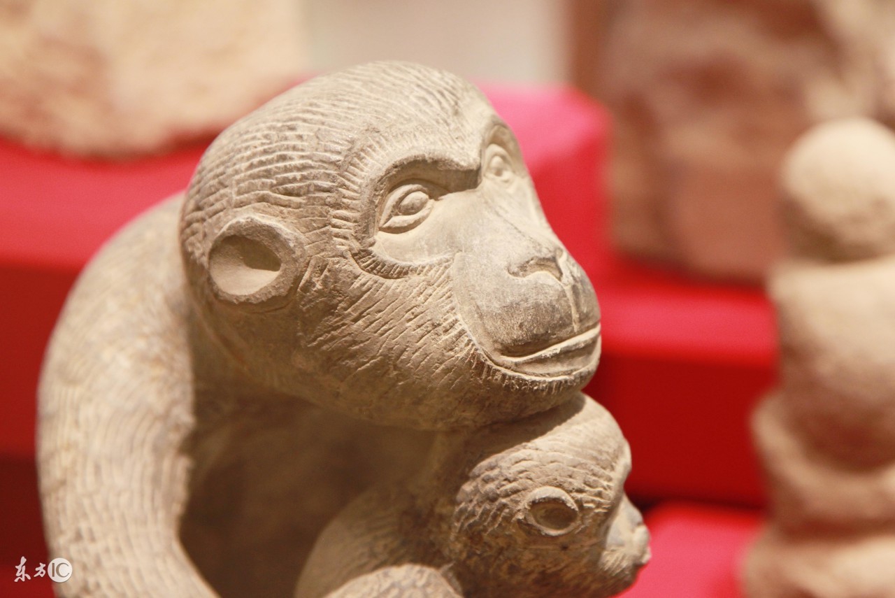 属猴之人最不好的出生月份,属猴人哪一年命最苦