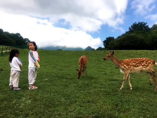 北纬30°神秘之境，在高山草甸、追逐鹿群，这里美的像天堂！