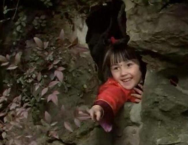 黑龙江出生,演过日版流星花园,娶中国小演员,后出轨日本女星