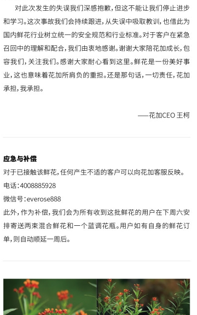 鲜花电商花加停业整顿,鲜花电商花加宣布重启