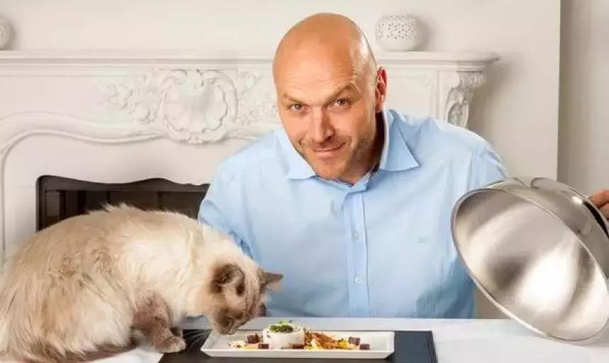 养一只猫咪需要多少钱,没有钱可以养猫咪吗