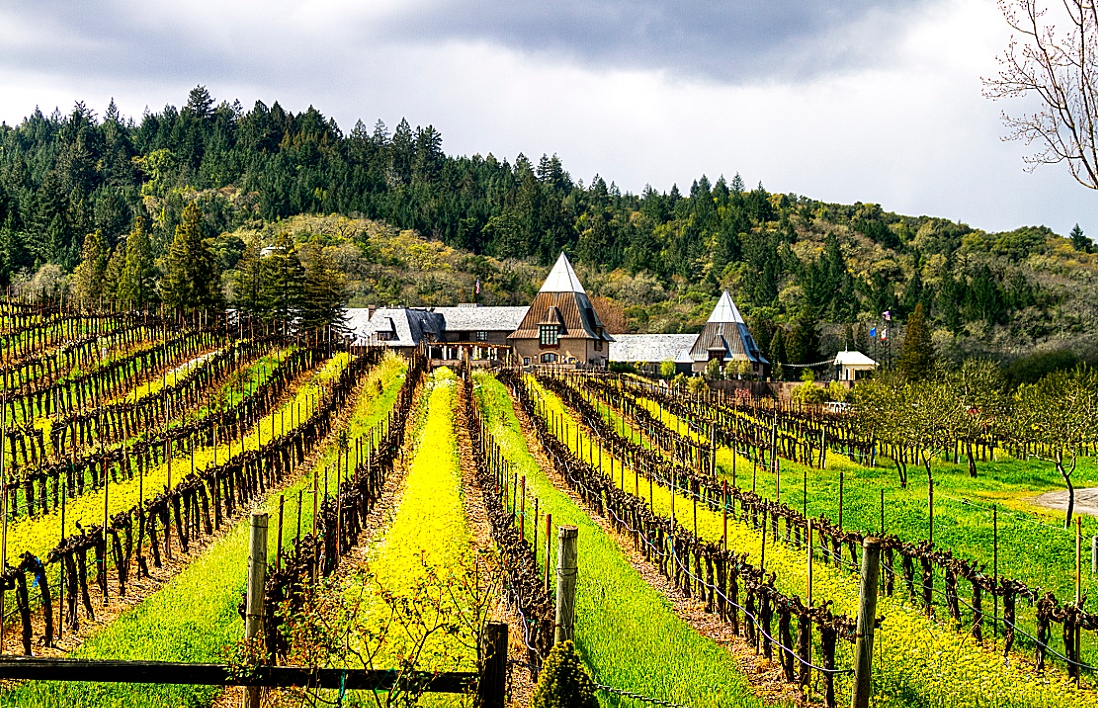 《男侍者和花花小姐》:一个好色的酒店侍者的秘密