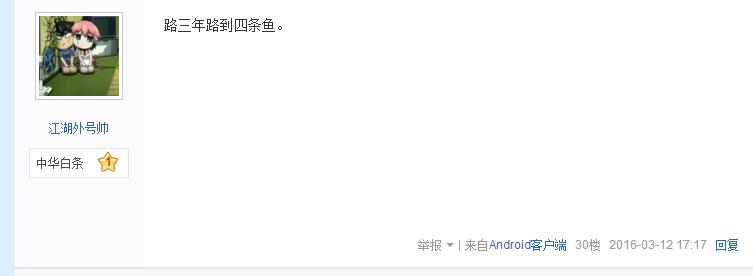 路亚白条用飞蝇钩好还是亮片好,路亚白条用飞蝇好还是用毒蚊好