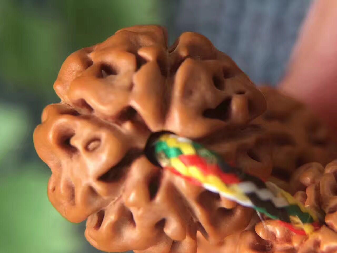 史上最全的小金刚菩提子介绍，再也不用担心被忽悠了！