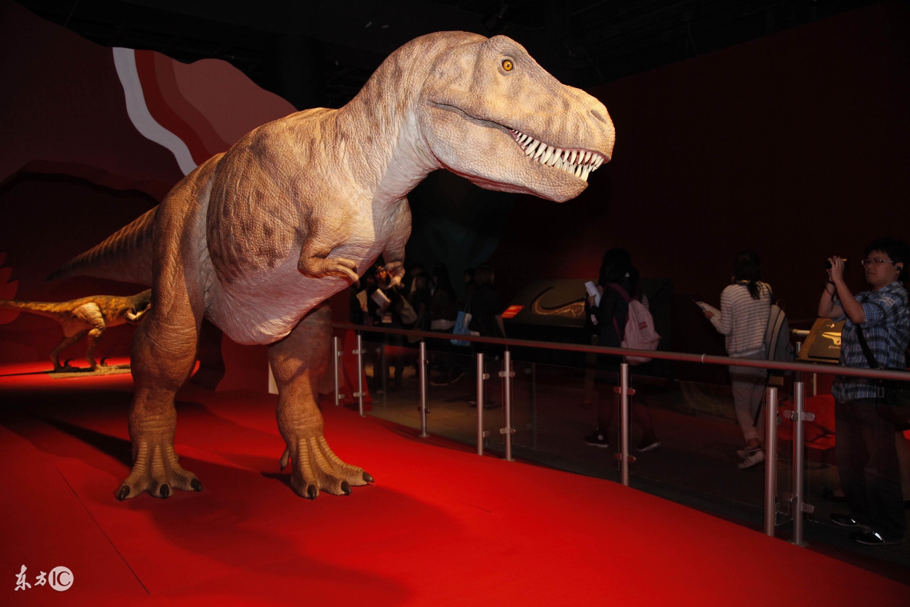 幼儿园亲子手工之折纸:八款小恐龙的折法教程,好酷好霸气!