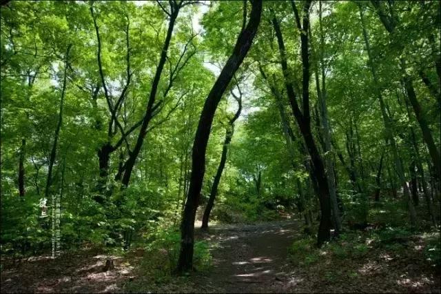 长春最适合两日游的3条路线,景美人少离家近,说走就走!