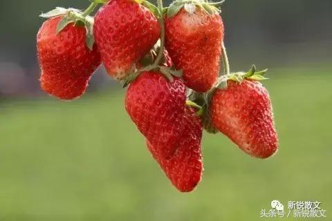 文登有意思的地方,来威海必须去的景点