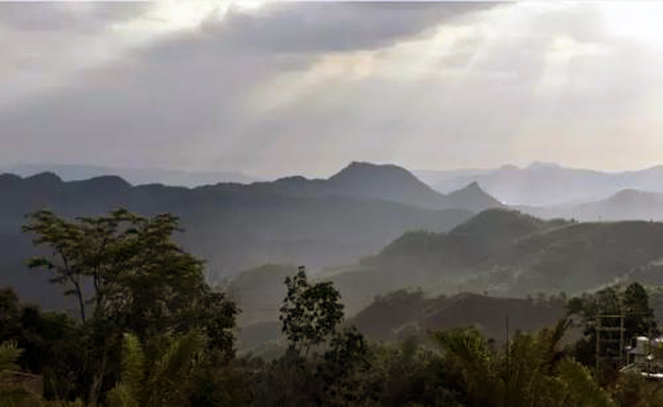 天然染料物理化学,天然普洱茶染发剂