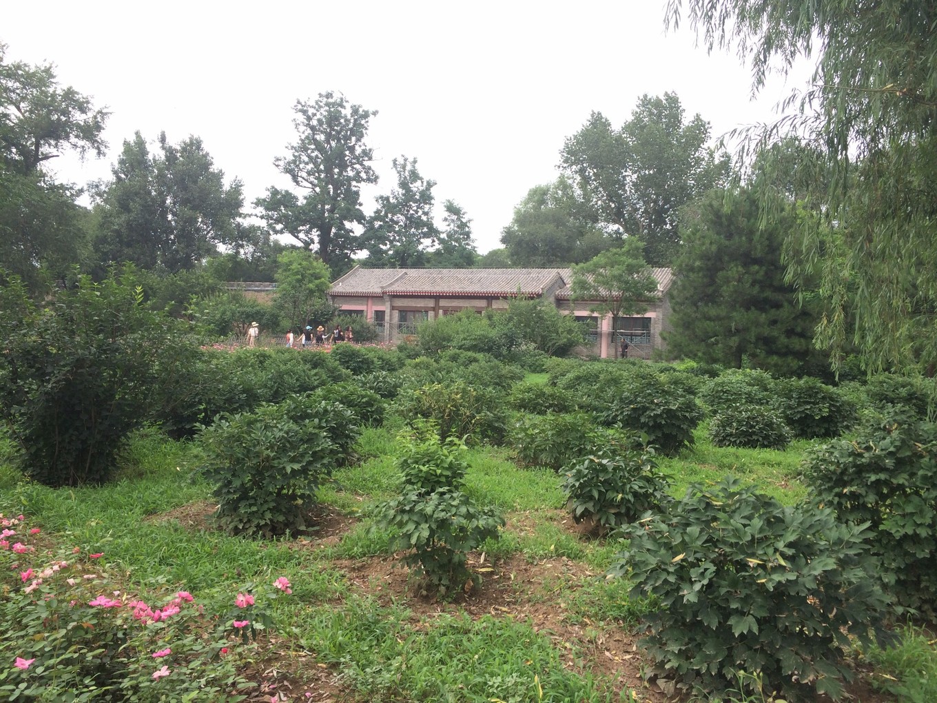 承德15人的民宿推荐,承德紫塞网农家院攻略