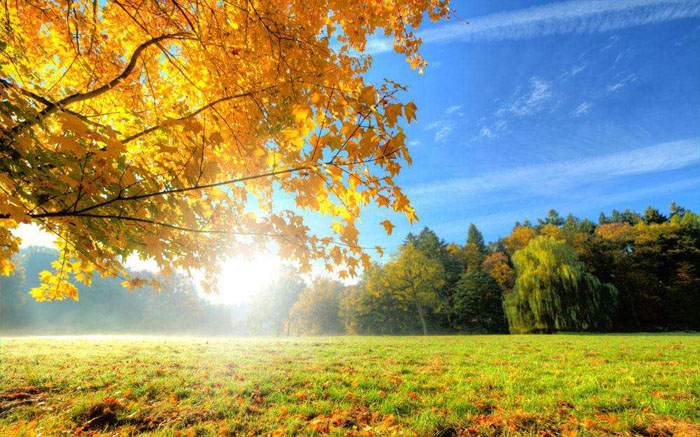 做好这4点保护措施很重要,这4个护发重点你得牢记于心了