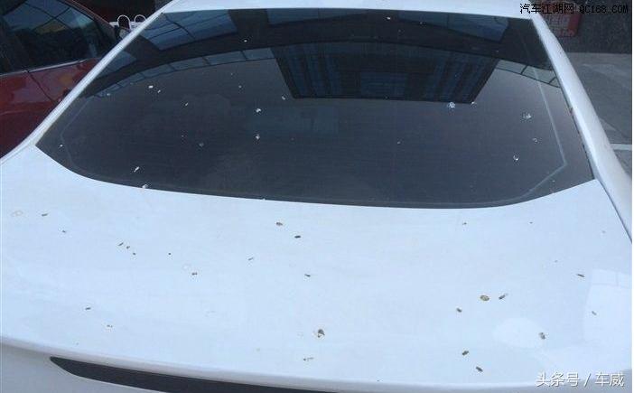 白色车为什么比较好,为什么白色车这么受欢迎