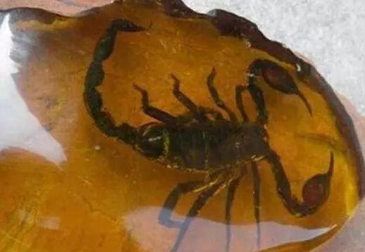 古玩市场骗局揭秘,古玩市场十大套路图片