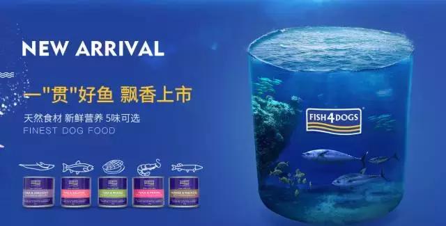 2023年pfa颁奖典礼,pfa年度最佳球员候选名单出炉