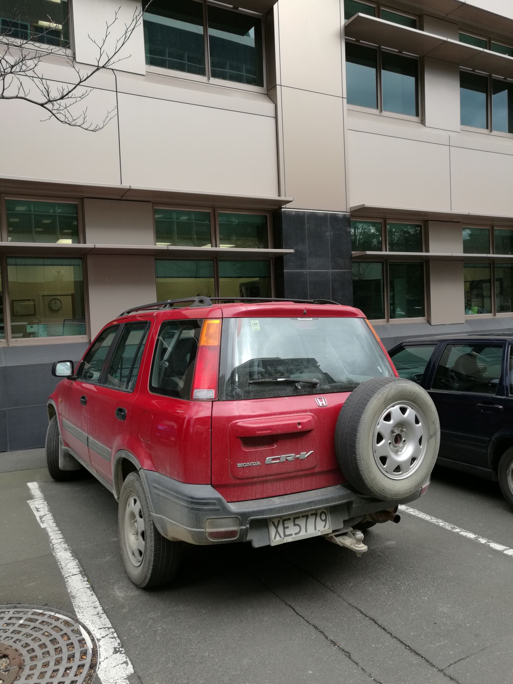 新西兰但尼丁城市介绍,新西兰哪个城市比较宜居