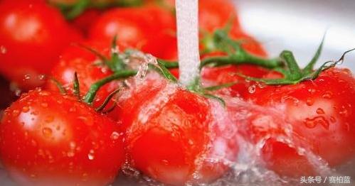 番茄红素维生素e有什么功效,番茄红素的功效与作用及价格