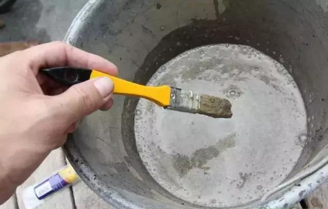 水养绿萝怎么用啤酒养,绿萝水养能用生根粉吗