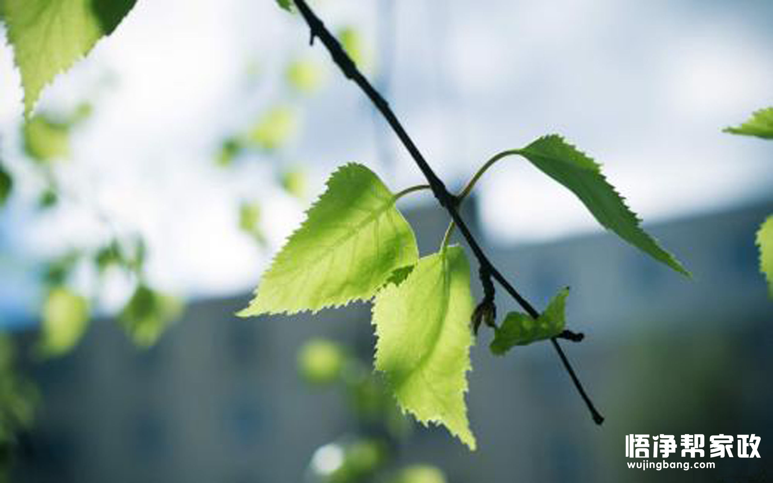 警惕秋老虎,秋老虎来了应注意什么