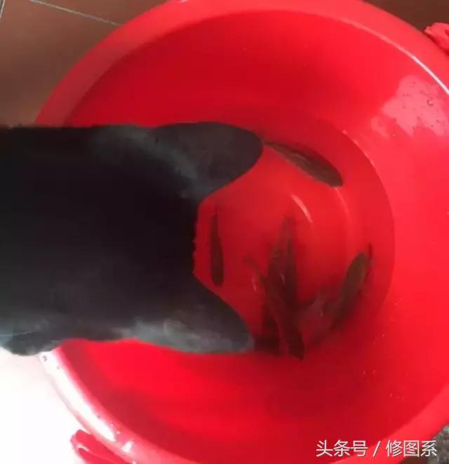 修图师会用哪些修图软件,修图师都用ps么