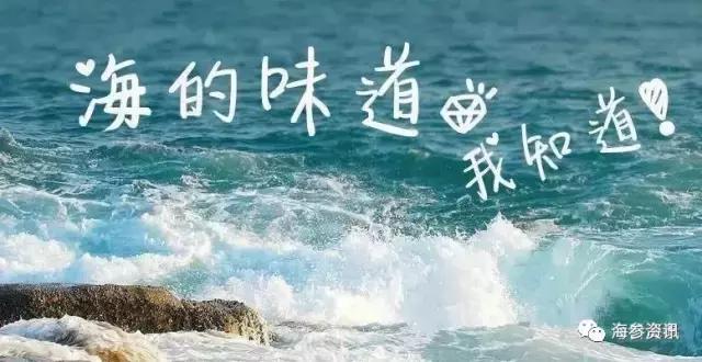 常吃海参的人身体会发生哪些变化,经常吃鸡蛋的人快看看吧