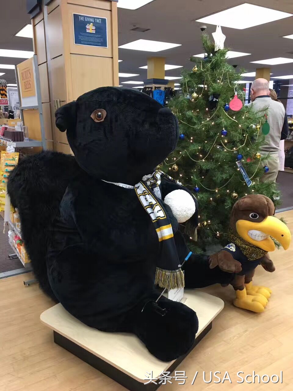 肯特州立大学位于哪个州,肯特州立大学留学