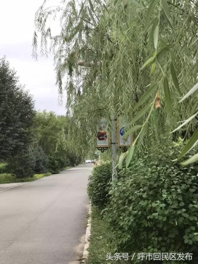 呼和浩特市新钢公园,新钢公园位置