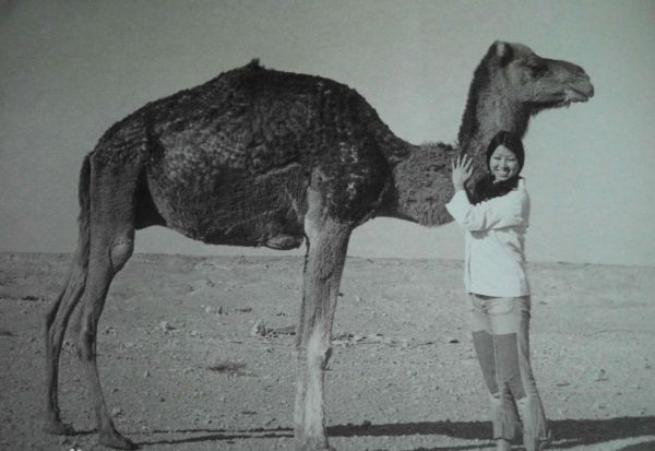 三毛梦里花落知多少全文听读,梦里花落知多少三毛在线免费读