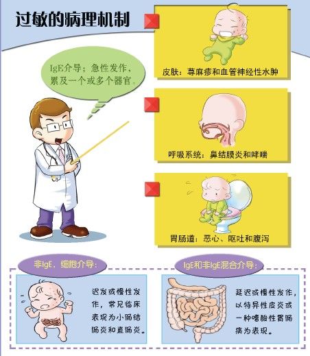 过敏会引起*麻疹荨**红肿呕吐腹泻呼吸困难
