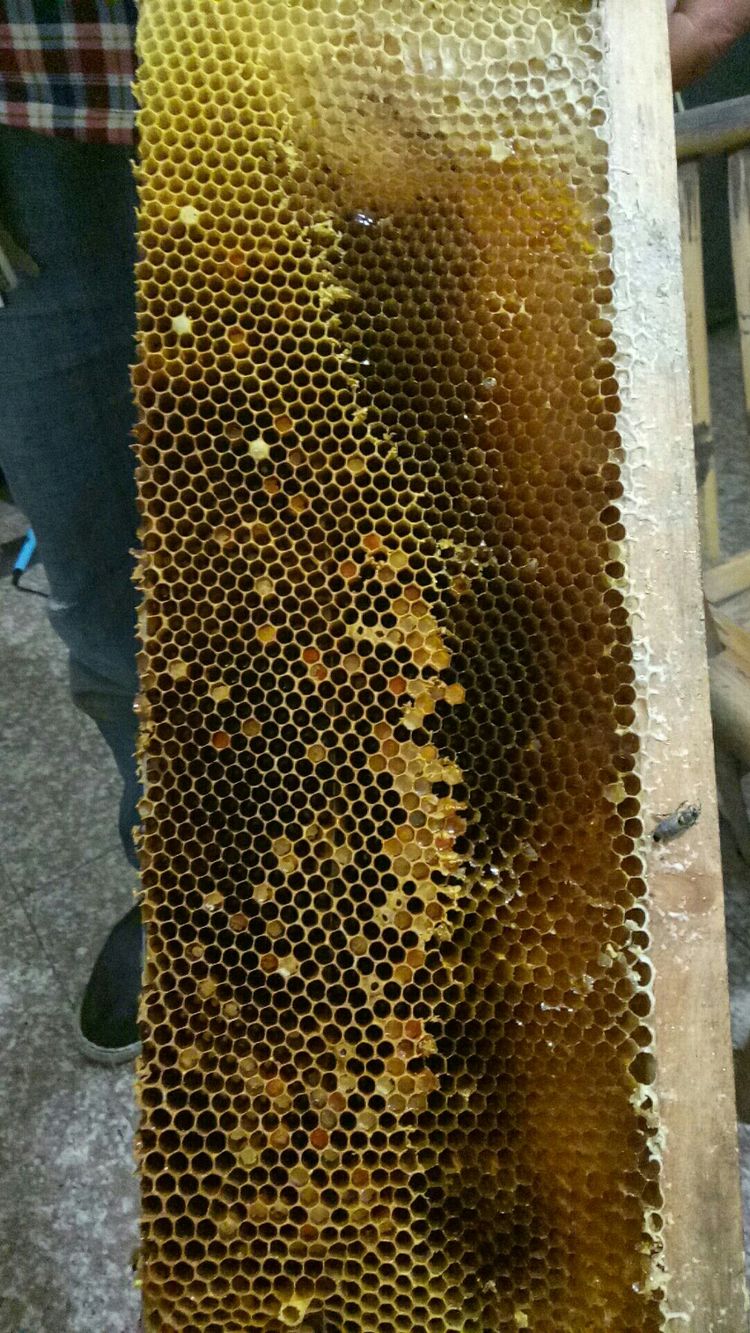 独霸牛头山，只为自己的甜蜜事业/临海味道