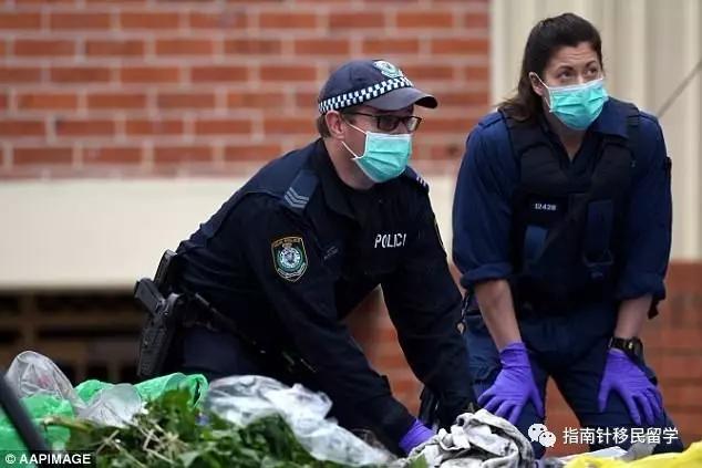 土澳也要推行身份证了?网友:类似的东西我在国内也有一张