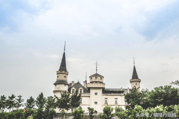 张裕瑞那城堡酒庄拍照技巧,张裕爱斐堡红酒庄园