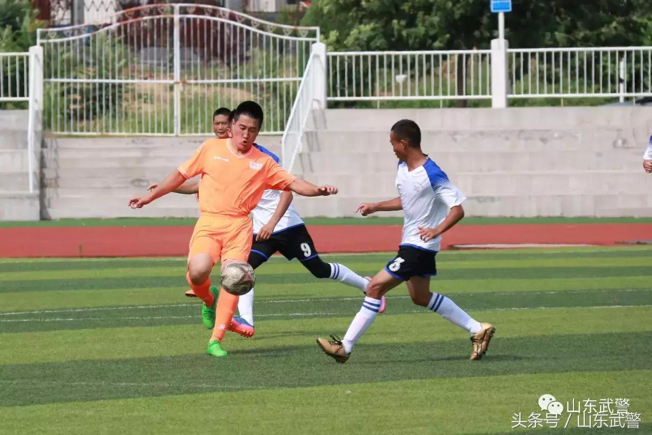 卫士动力110,卫士动力