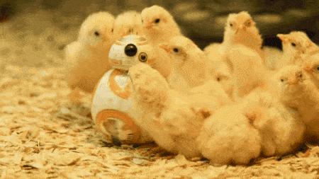 一招教你神龙摆尾,一招神龙摆尾