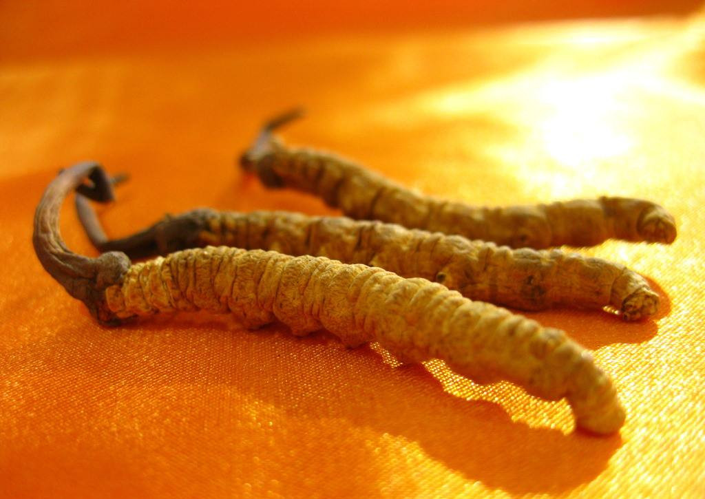 省市特产,各个省市农副特产