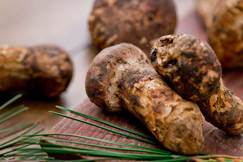 省市特产,各个省市农副特产