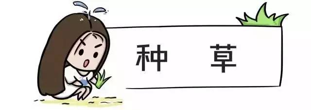 眼影要怎么画才不会掉,眼影要怎样才不会脱妆呢