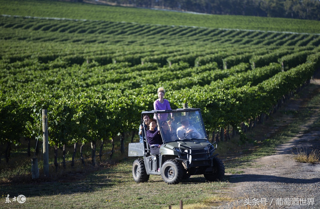 拉图城堡（ChateauLatour）