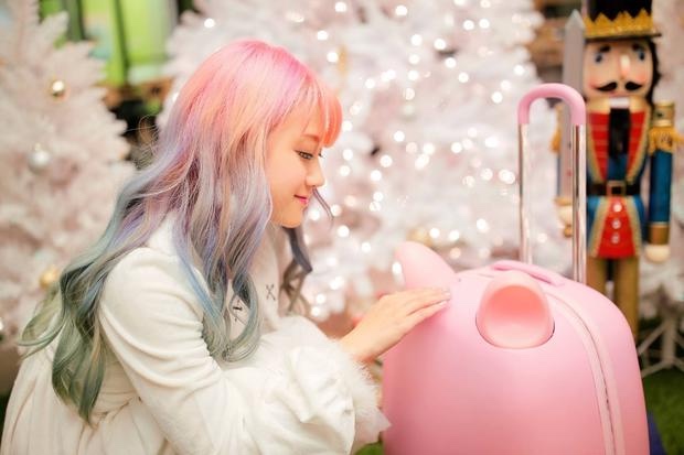 不要说我孤独，我还有猫