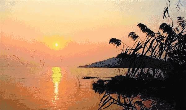 苏州东山好的民宿推荐,小而精的民宿