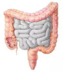 地震急救的基本方法,地震后如何正确急救