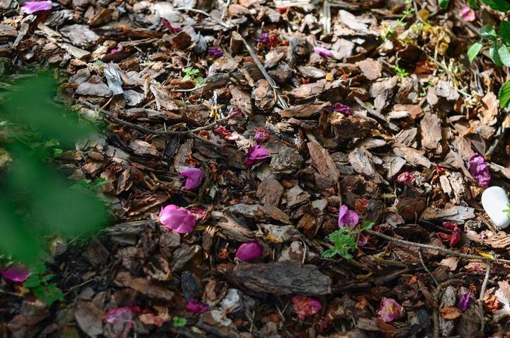 感受战斗民族的霸气,感受战斗民族的热情