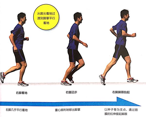 足底筋膜炎康复训练,如何改善脚底筋膜炎