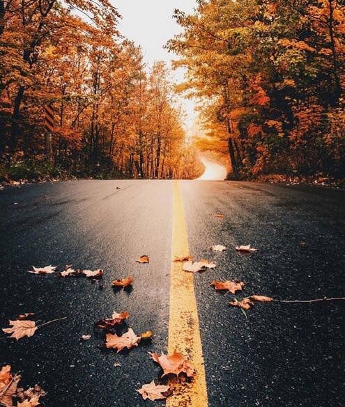 秋季应怎么养生,秋季喝什么茶养生最好