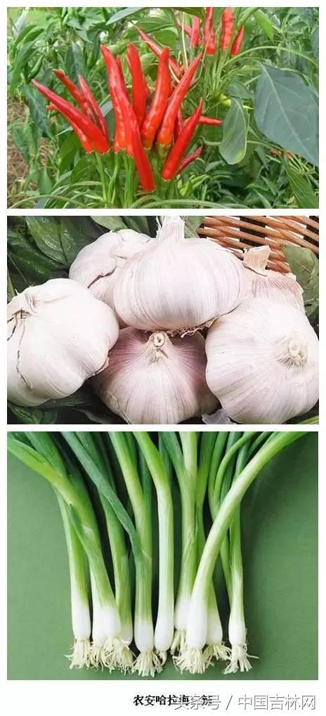 到吉林玩买啥、吃啥?再也不用刘烨代购吉林土特产了!