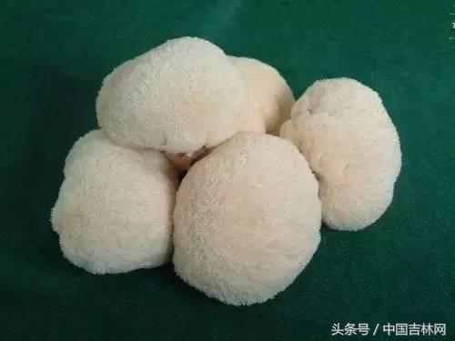 到吉林玩买啥、吃啥?再也不用刘烨代购吉林土特产了!