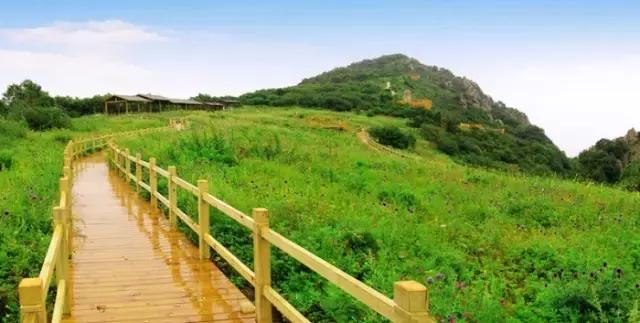 “麻麻，那是什么花？”“麻麻花呀！”