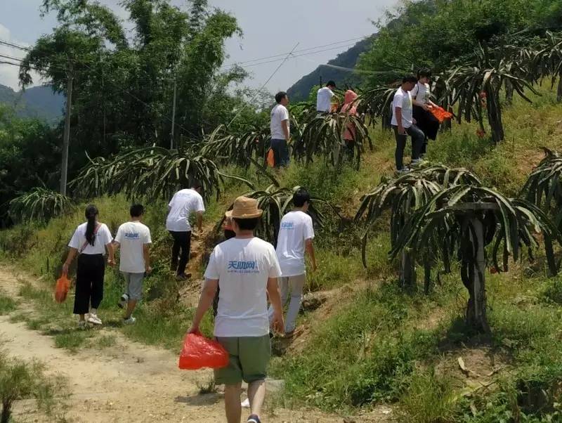 怡情于山水，相伴于旅途——天助网总部广州两日旅行漫记