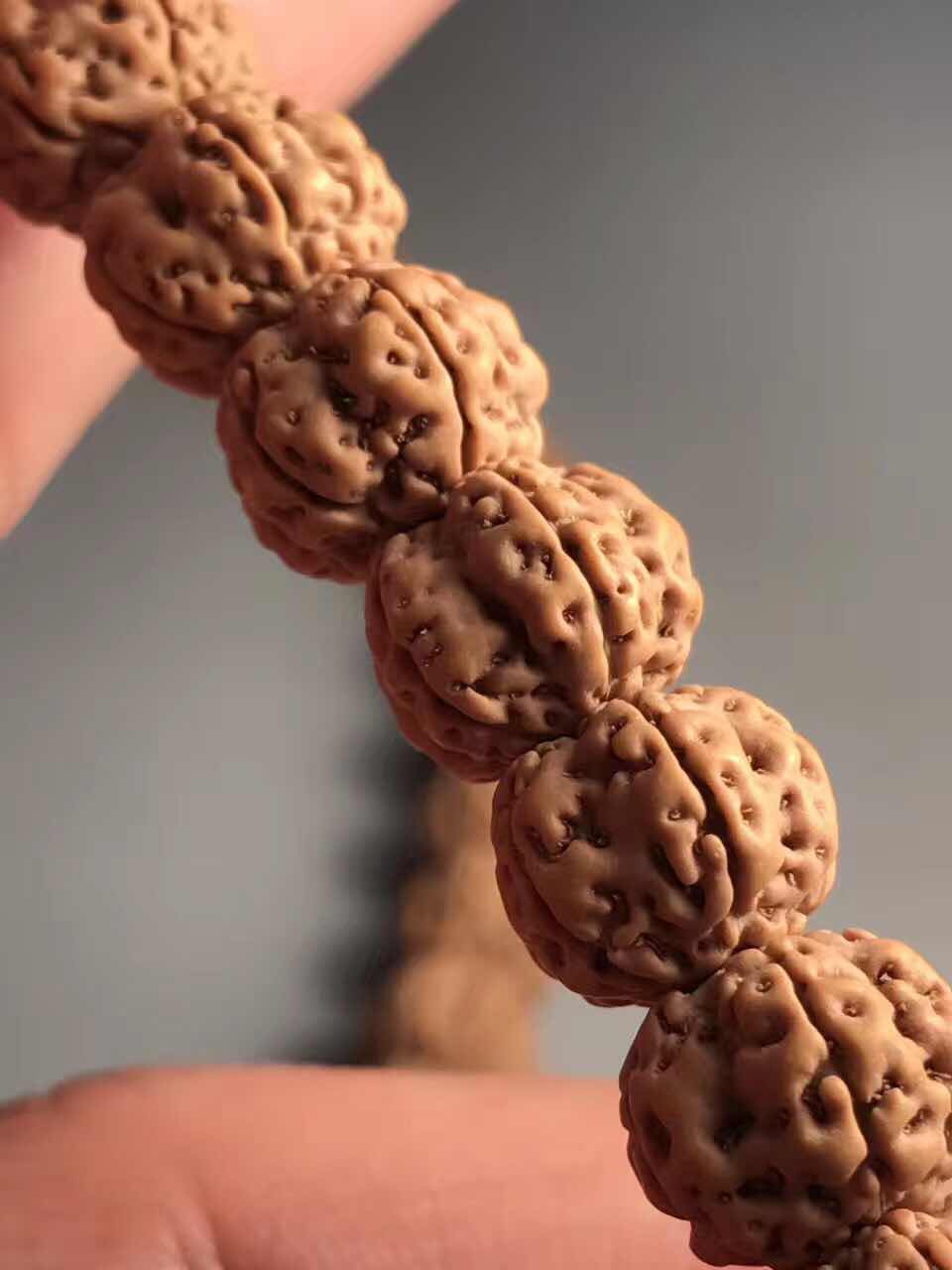 史上最全的小金刚菩提子介绍，再也不用担心被忽悠了！