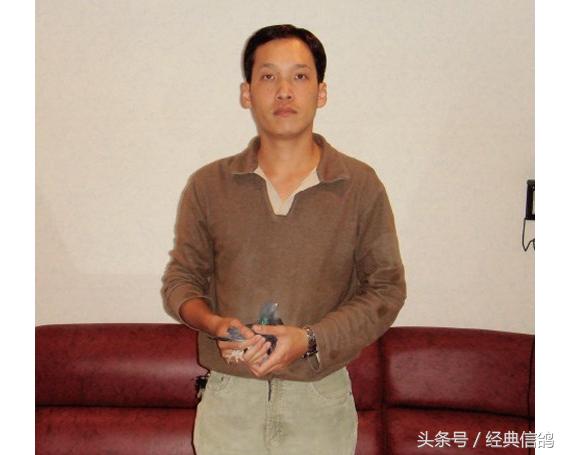 赛鸽大户,新乡赛鸽名家大户